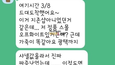 #티무역 샤넬 CHANEL 코코핸들 플랩백 미니 AS2215 후기✔ ☆☆☆☆☆