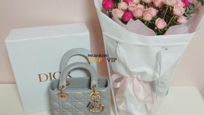 신공장 디올 마이레이디백 스몰 