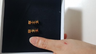셀린귀걸이