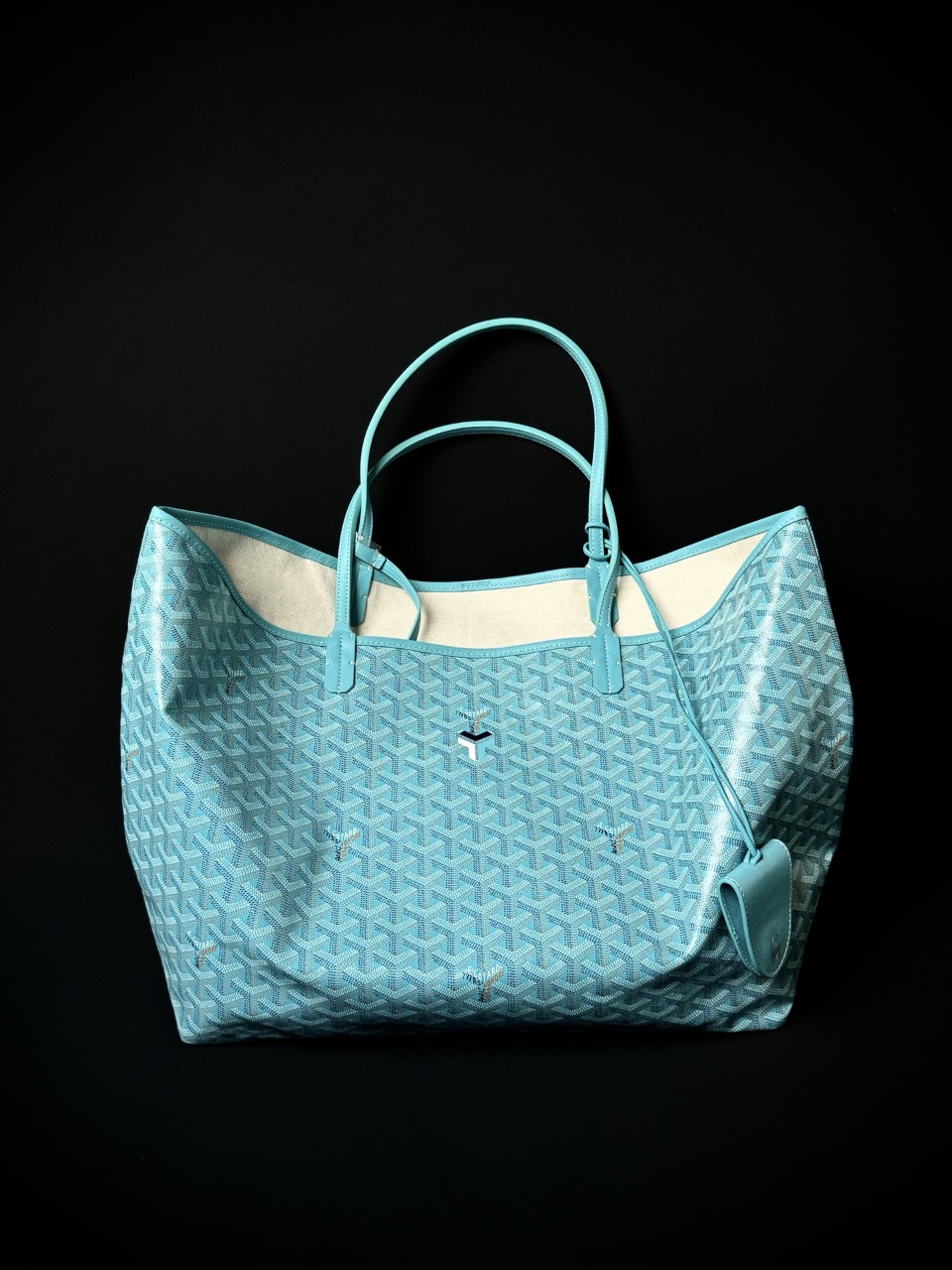 고야드 생루이백 리미티드 에디션 고야드 한정판 생루이백GM 34x20x40cm