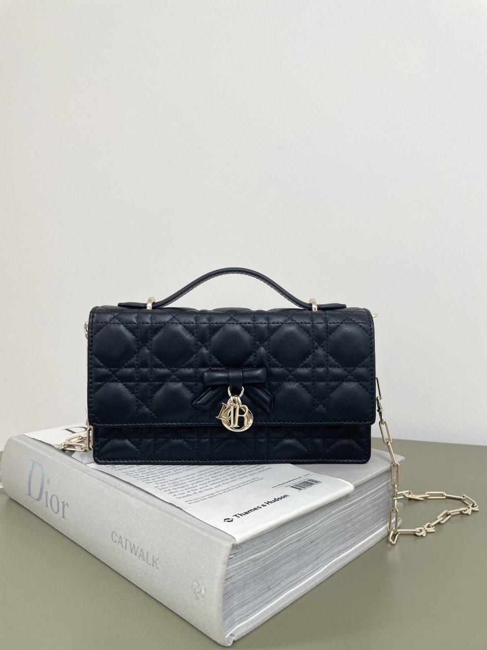 디올 Dior 마이 디올 미니 백 My Dior Mini Bag 까나쥬 양가죽 21*11.5*4.5cm